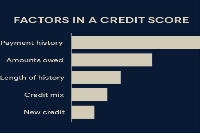 Horizontal bar chart showing five credit score factors—payment history, amounts owed, credit mix, and more—used to explain what a credit score is.
