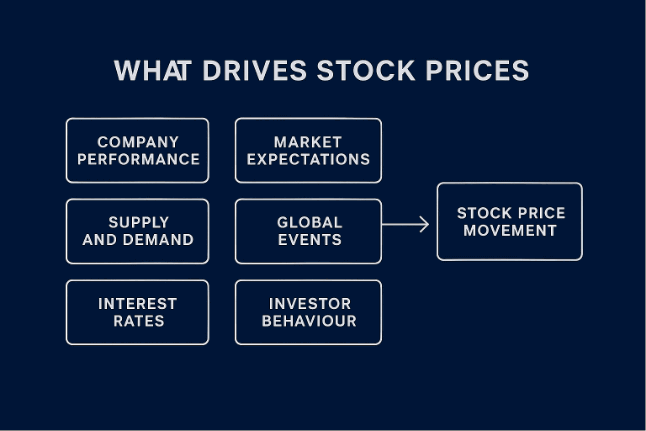 Visual summary of stock market basics showing how company results, economic factors, and investor sentiment influence stock price movement.